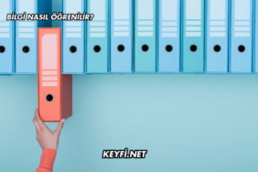 Bilgi Nasıl Öğrenilir?