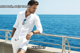 Erkek Nedir, Ne İşe Yarar?