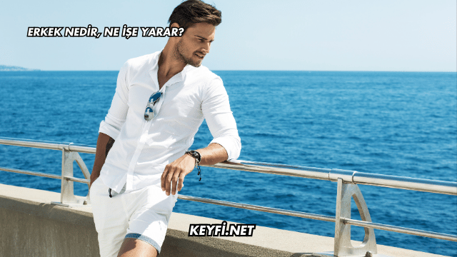 Erkek Nedir, Ne İşe Yarar?