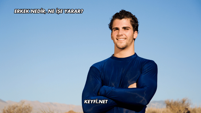 Erkek Nedir, Ne İşe Yarar?