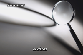 Merak Nedir?