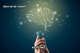 Zeka Ne İşe Yarar?