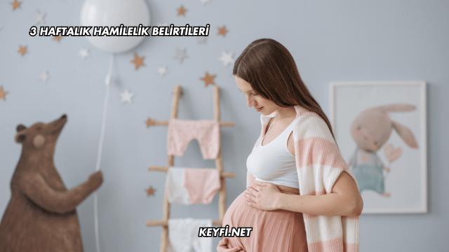 3 Haftalık Hamilelik Belirtileri