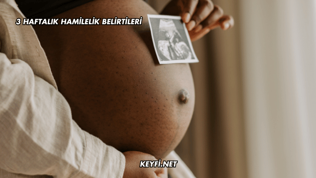 3 Haftalık Hamilelik Belirtileri