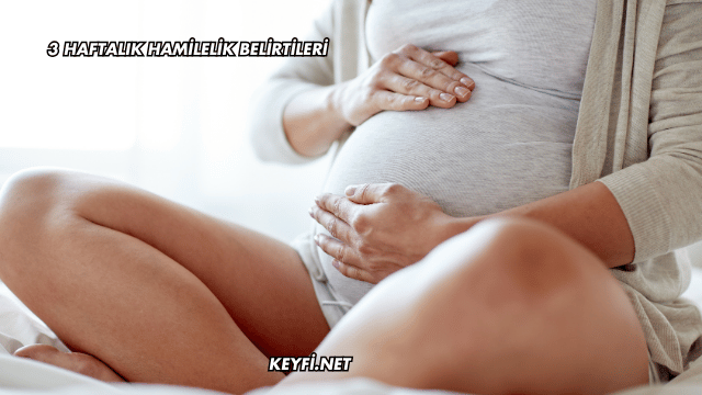 3 Haftalık Hamilelik Belirtileri