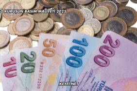 50 Kuruşun Basım Maliyeti 2025