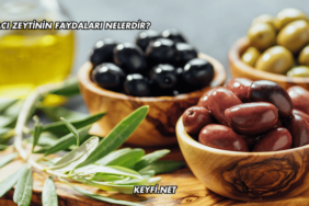 Acı Zeytinin Faydaları Nelerdir?