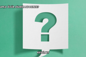 Arapça Özür Dilerim Ne Demek?