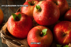 Ayı Elmasının Faydaları