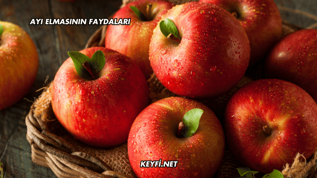 Ayı Elmasının Faydaları