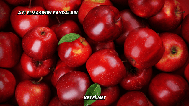 Ayı Elmasının Faydaları