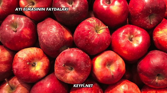 Ayı Elmasının Faydaları