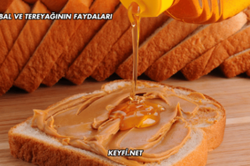 Bal ve Tereyağının Faydaları