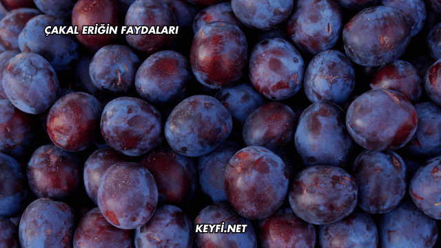 Çakal Eriğin Faydaları