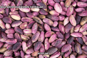 Çekirdekli Antep Karasının Faydaları