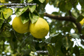 Çin Greyfurtunun Faydaları Nelerdir?