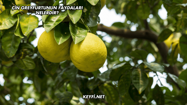 Çin Greyfurtunun Faydaları Nelerdir?