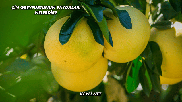 Çin Greyfurtunun Faydaları Nelerdir?