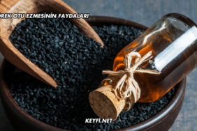 Çörek Otu Ezmesinin Faydaları