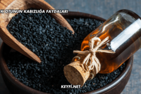 Çörek Otunun Kabızlığa Faydaları