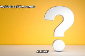 İngilizcede Şilili Ne Demek?