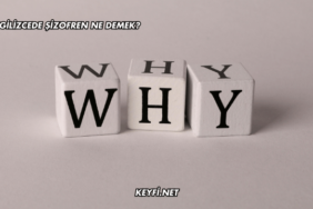 İngilizcede Şizofren Ne Demek?