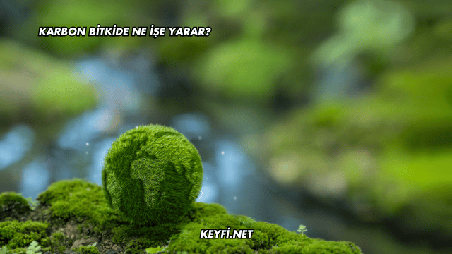 Karbon Bitkide Ne İşe Yarar?