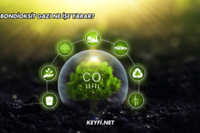 Karbondioksit Gazı Ne İşe Yarar?
