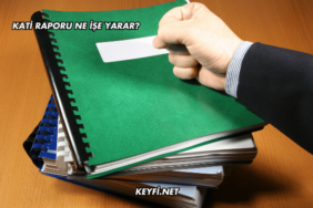 Kati Raporu Ne İşe Yarar?