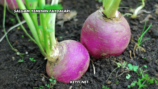 Şalgam Yemenin Faydaları