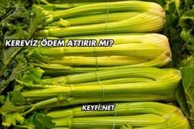 Kereviz Ödem Attırır mı?